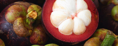 Mangostan